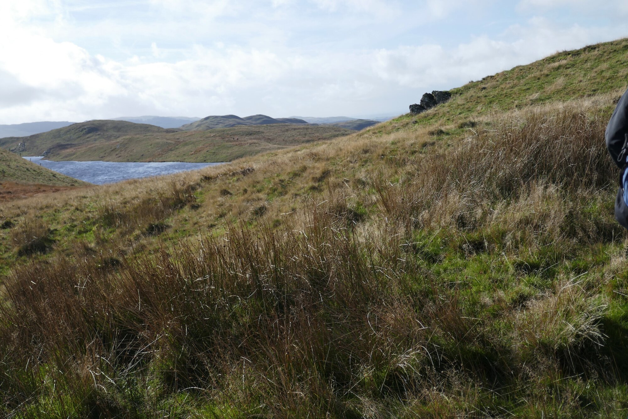 RachelSeabrook.net | Wild Walking | Teifi Pools | pic20